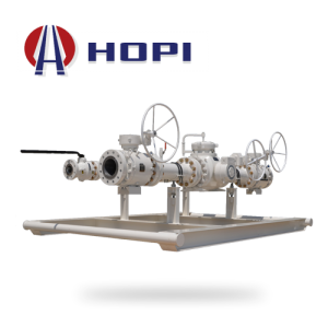 Automatic Multiple Pig Launching System